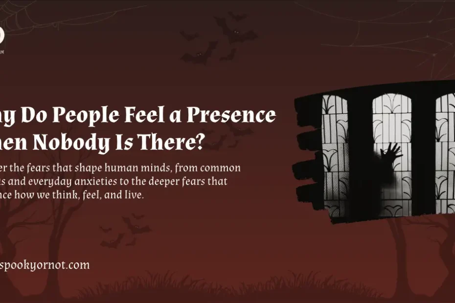 Why Do People Feel a Presence When Nobody Is There?